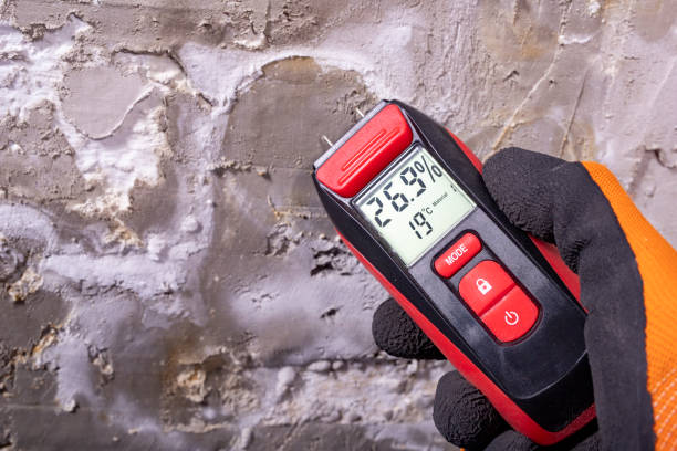  Hale Center, TX Mold Removal Pros