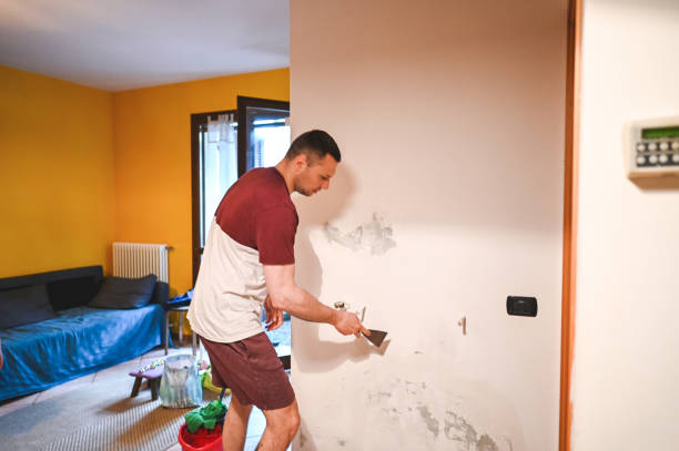 Best Post-Flood Mold Remediation in Hale Center, TX